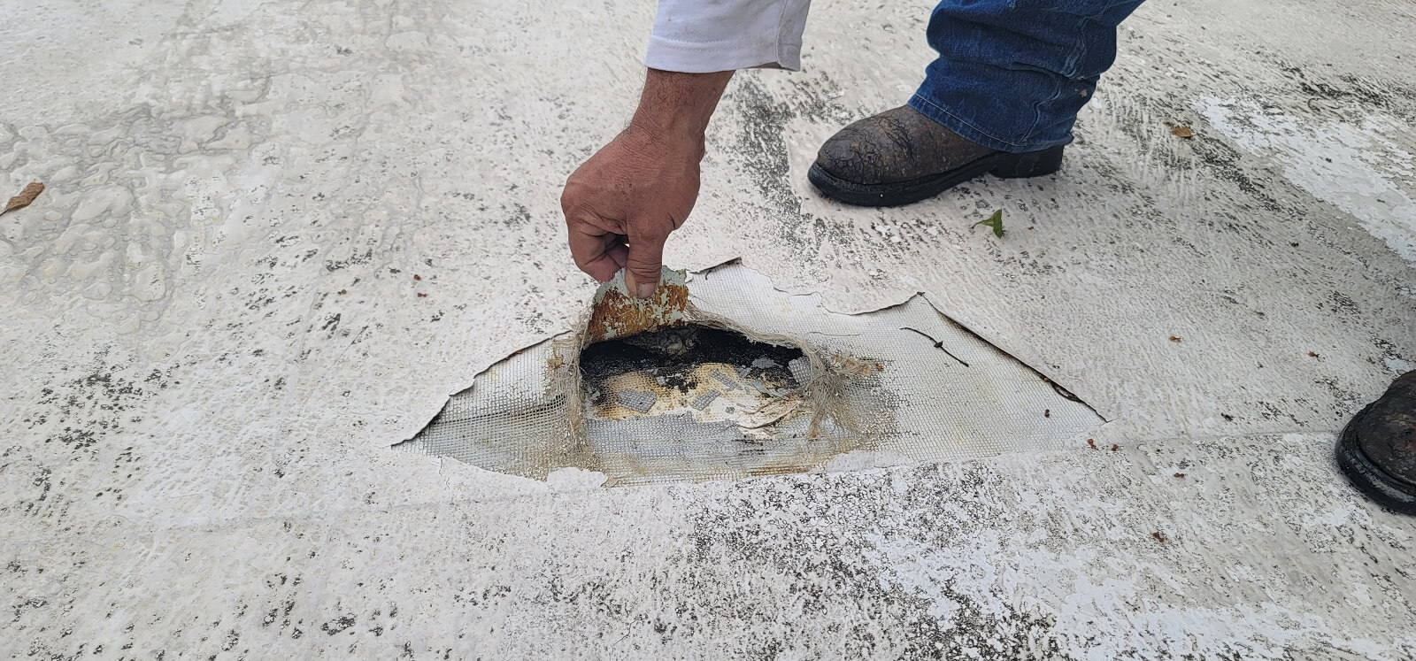 Roof inspection and repair project